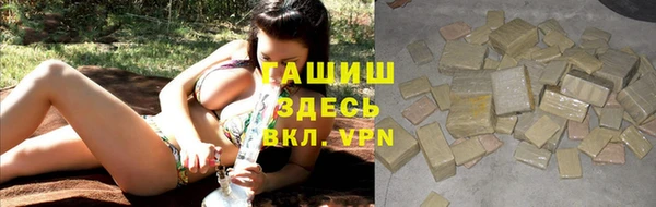 гидра Абаза