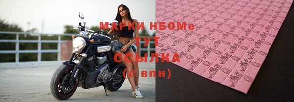 гидра Абаза
