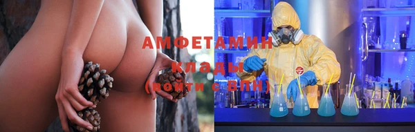гидра Абаза