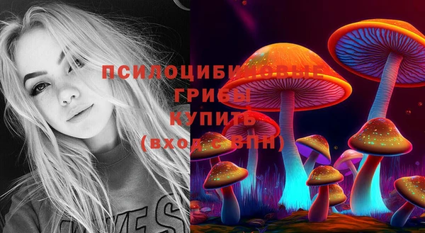 гидра Абаза