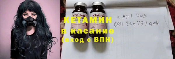 гидра Абаза
