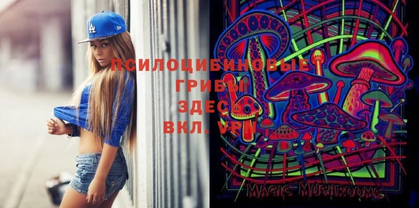 Альфа ПВП Абдулино