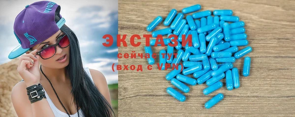 гидра Абаза