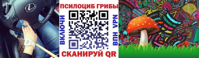 как найти закладки Новое Девяткино Галлюциногенные грибы мухоморы
