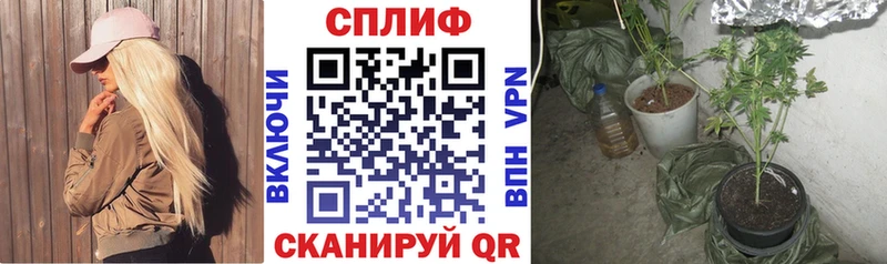 Бошки Шишки AK-47  Новое Девяткино 